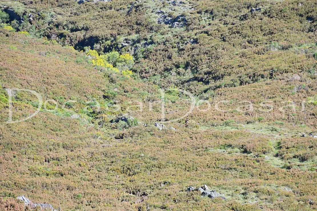 chandrexa_trail_2024-docasar_fotografia-17