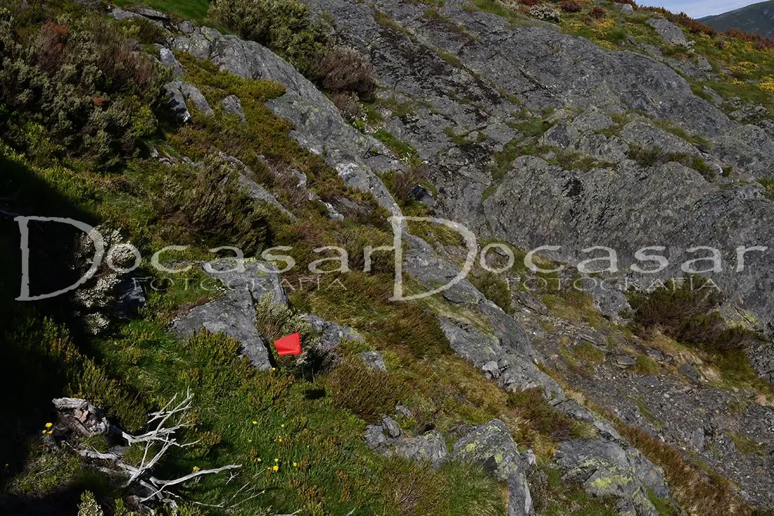 chandrexa_trail_2024-docasar_fotografia-9