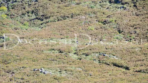 chandrexa_trail_2024-docasar_fotografia-20