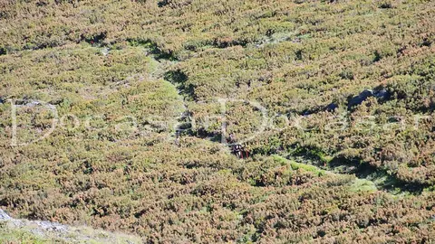 chandrexa_trail_2024-docasar_fotografia-18