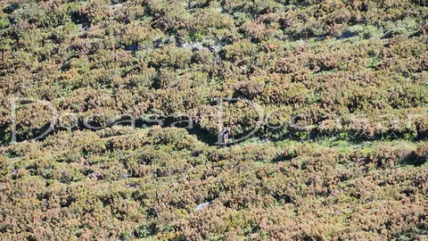 chandrexa_trail_2024-docasar_fotografia-19