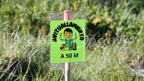 chandrexa_trail_2024-docasar_fotografia-12