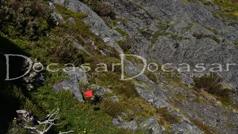 chandrexa_trail_2024-docasar_fotografia-9